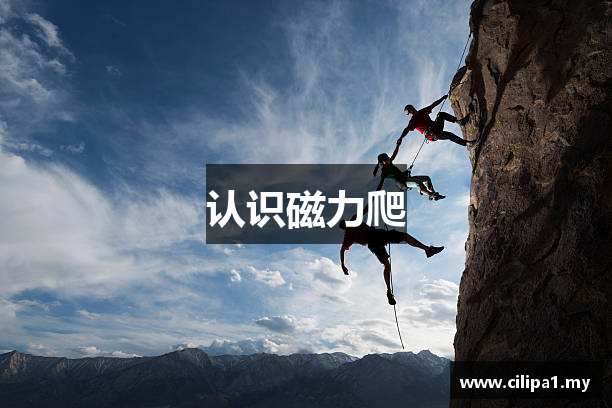 认识磁力爬